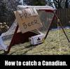 canadian trap